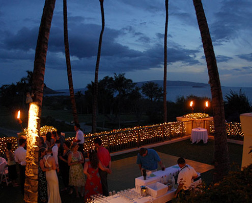 Party Locations Gallery_0010_Lower Lawn Night