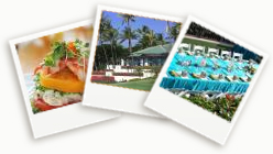Photo Gallery